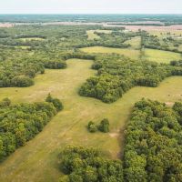 Moberly Whitetail 138