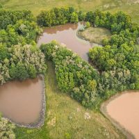 Moberly Whitetail 138 images 2
