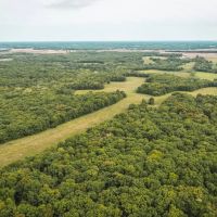 Moberly Whitetail 138 images 3