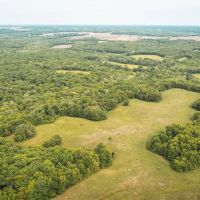 Moberly Whitetail 138 images 4