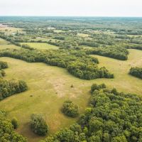 Moberly Whitetail 138 images 5