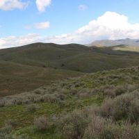 Bridgeport Hunting and Livestock Ranch - Baker County images 3