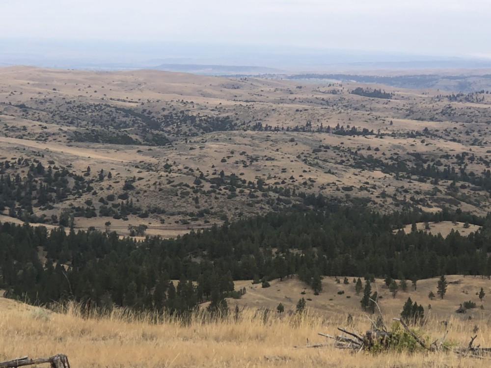 Hump Creek 56 featured image