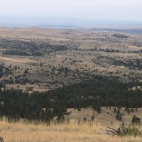 Hump Creek 56