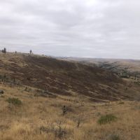 Hump Creek 56 images 2