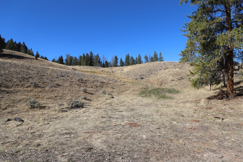 Moyer Creek Ranch featured image