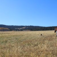 Moyer Creek Ranch images 3