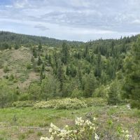 East Goose Creek Getaway images 3