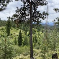 East Goose Creek Getaway images 5