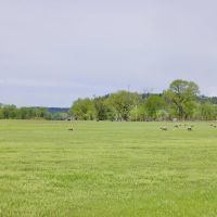 Riveting Reed Point Riverfront Parcel images 4
