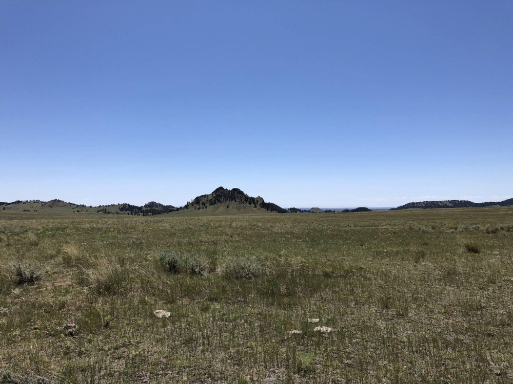 Lloyd Road Ranch featured image