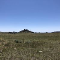 Lloyd Road Ranch