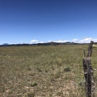 Lloyd Road Ranch images 2
