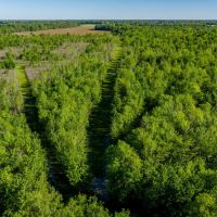High Fence Ranch and Lodge for Sale Richland Parish LA images 3