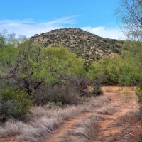 Farm and Ranch in Tennyson TX images 3