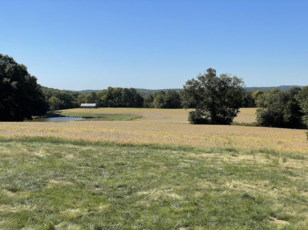 134 Acre Hunting Property with Home for Sale Johnson County featured image