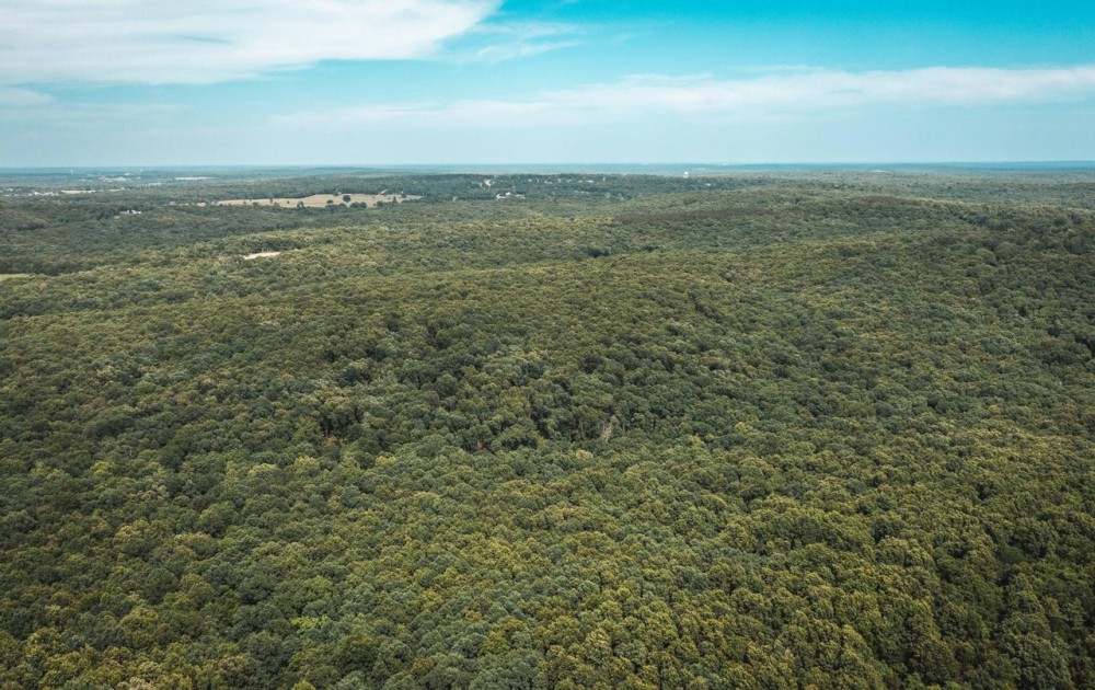 White Oak Ridge- Tract 13 featured image