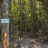 White Oak Ridge- Tract 13 images 2