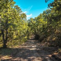 White Oak Ridge- Tract 13 images 3