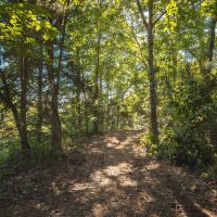 White Oak Ridge- Tract 13 images 4