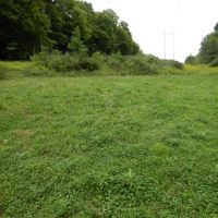 Squires Road Sanctuary images 2