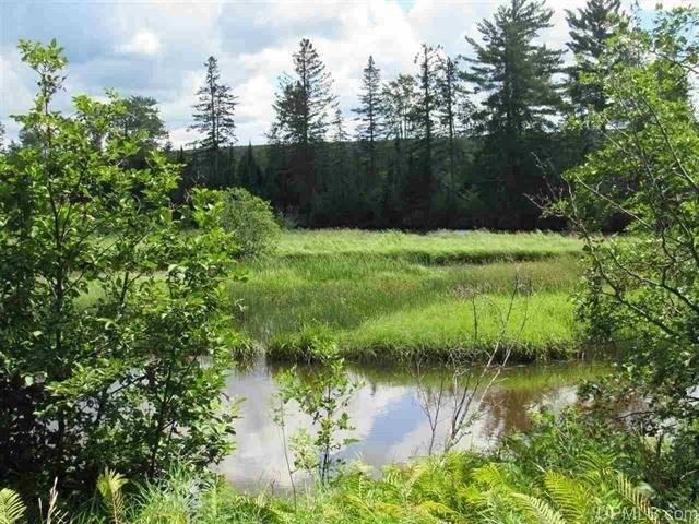 1356 - U.P. Timber Property w Lake 50082322 featured image