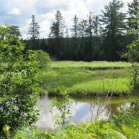1356 - U.P. Timber Property w Lake 50082322