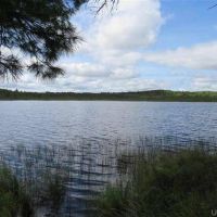1356 - U.P. Timber Property w Lake 50082322 images 2