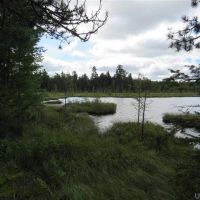 1356 - U.P. Timber Property w Lake 50082322 images 3