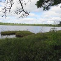 1356 - U.P. Timber Property w Lake 50082322 images 4