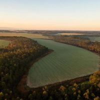 Lillian Farmland Development images 5