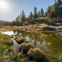 4095 NE Trout Creek Road - Gooseberry Ranch images 2