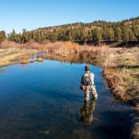 4095 NE Trout Creek Road - Gooseberry Ranch images 4