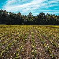 Marshall County 40 near Clarks River National Refuge images 2