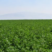 Rio Vista Ranch images 3