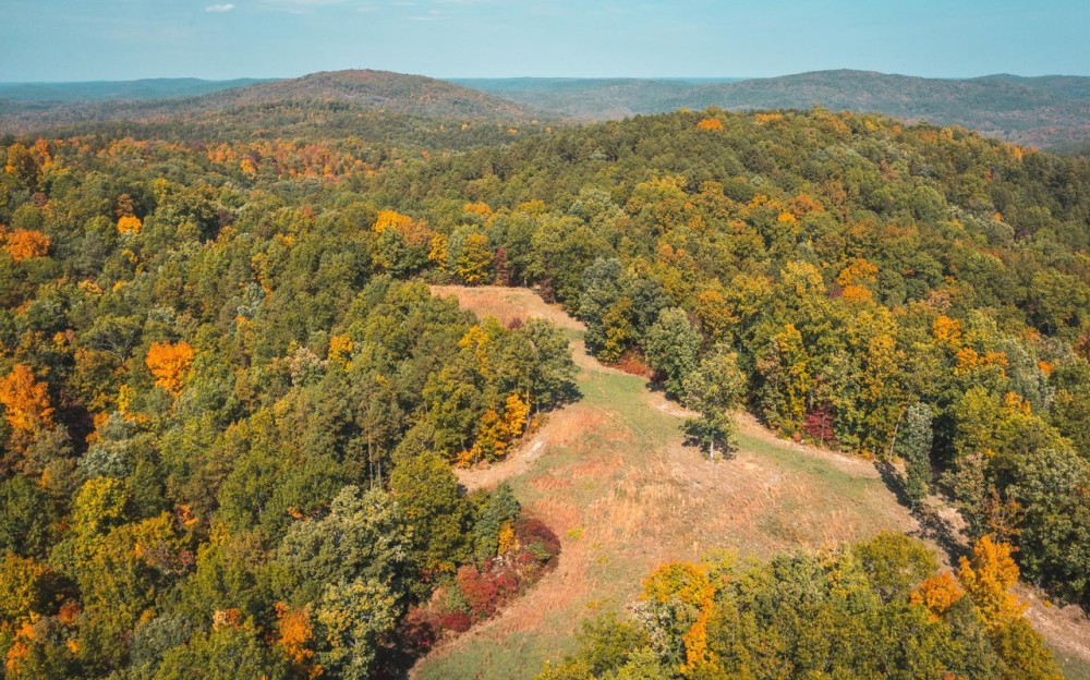 Thorny Creek Hollow featured image