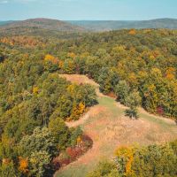 Thorny Creek Hollow
