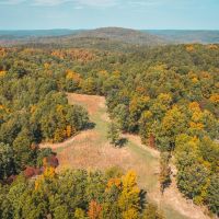 Thorny Creek Hollow images 2