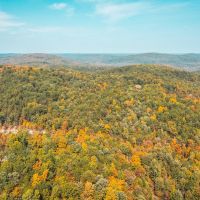 Thorny Creek Hollow images 3