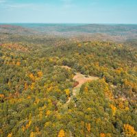 Thorny Creek Hollow images 4
