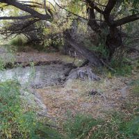 Sierra Vista Ranch images 3