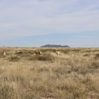 Sierra Vista Ranch images 4