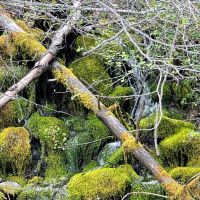 Grants Pass Peak 160 Parcel 1 images 2