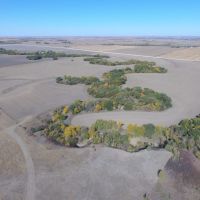 Kill Creek 276