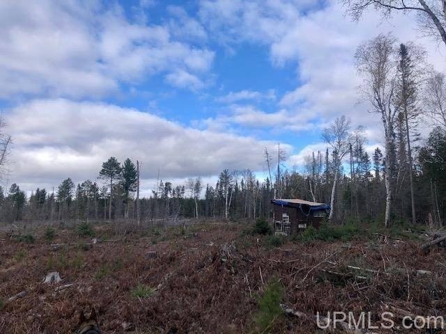 Private 80 Acres w Stream 10067043 featured image