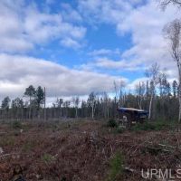 Private 80 Acres w Stream 10067043
