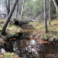 Private 80 Acres w Stream 10067043 images 2