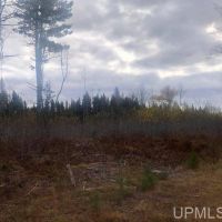 Private 80 Acres w Stream 10067043 images 3