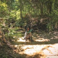 Jennings Bluff images 2