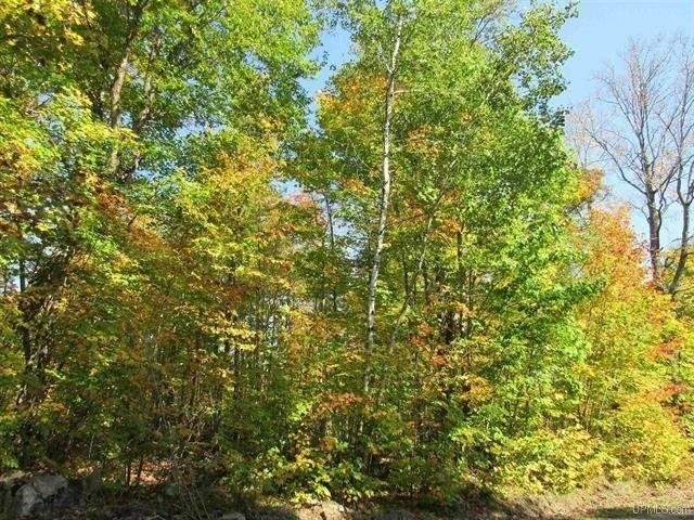 Rural Recreational Property 50090432 featured image